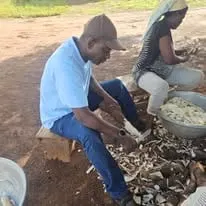 A member cracking shea nuts by hand