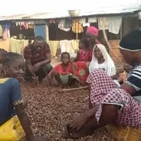 Women and children sorting shea nuts